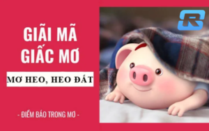 Giấc Mơ Thấy Lợn Mang Đến Điềm Báo Gì? Đánh Con Gì?