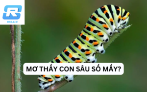 Mơ thấy con sâu số mấy? Giải mã giấc mơ thấy con sâu