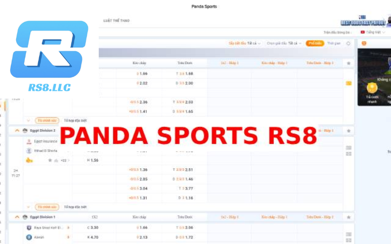 Panda Sports RS8: Sự Lựa Chọn Hoàn Hảo Cho Người Yêu Thể Thao